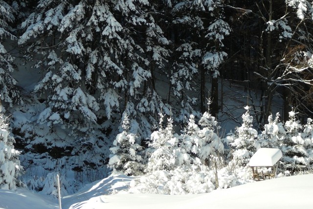 Gorski kotar